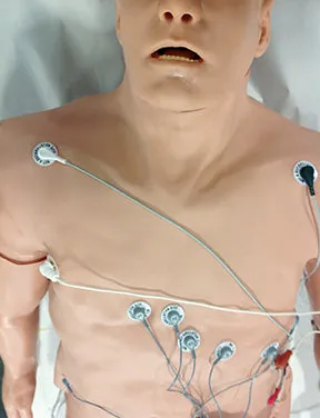 Zoll 12-Lead Arrhythmia Simulator with Manikin Overlay large